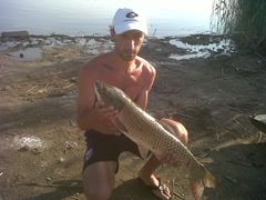 fish